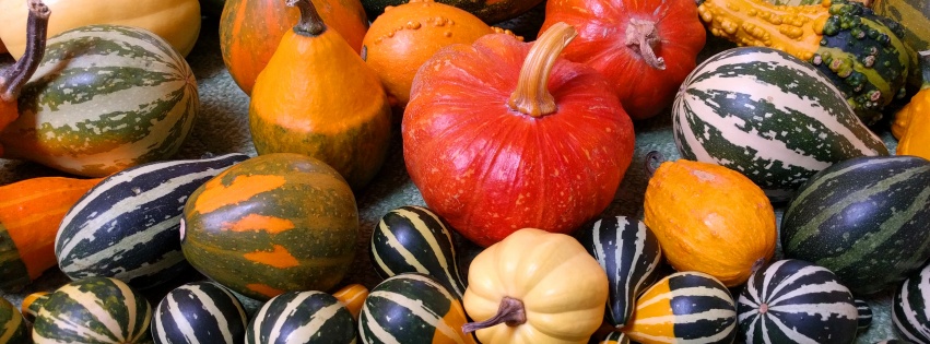 Small Pumpkins For Halloween Party