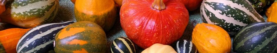 Small Pumpkins For Halloween Party