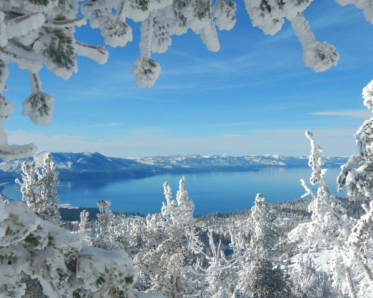 Snow Sky Winter