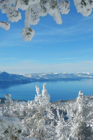 Snow Sky Winter