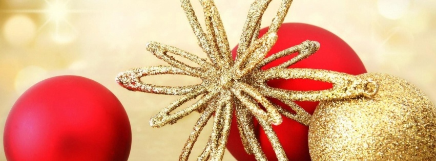 Snowflake Gold Jewelry New Year