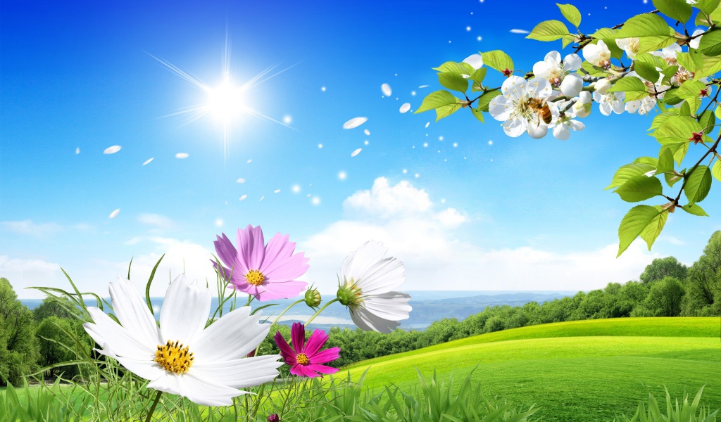 Spring Scene Background