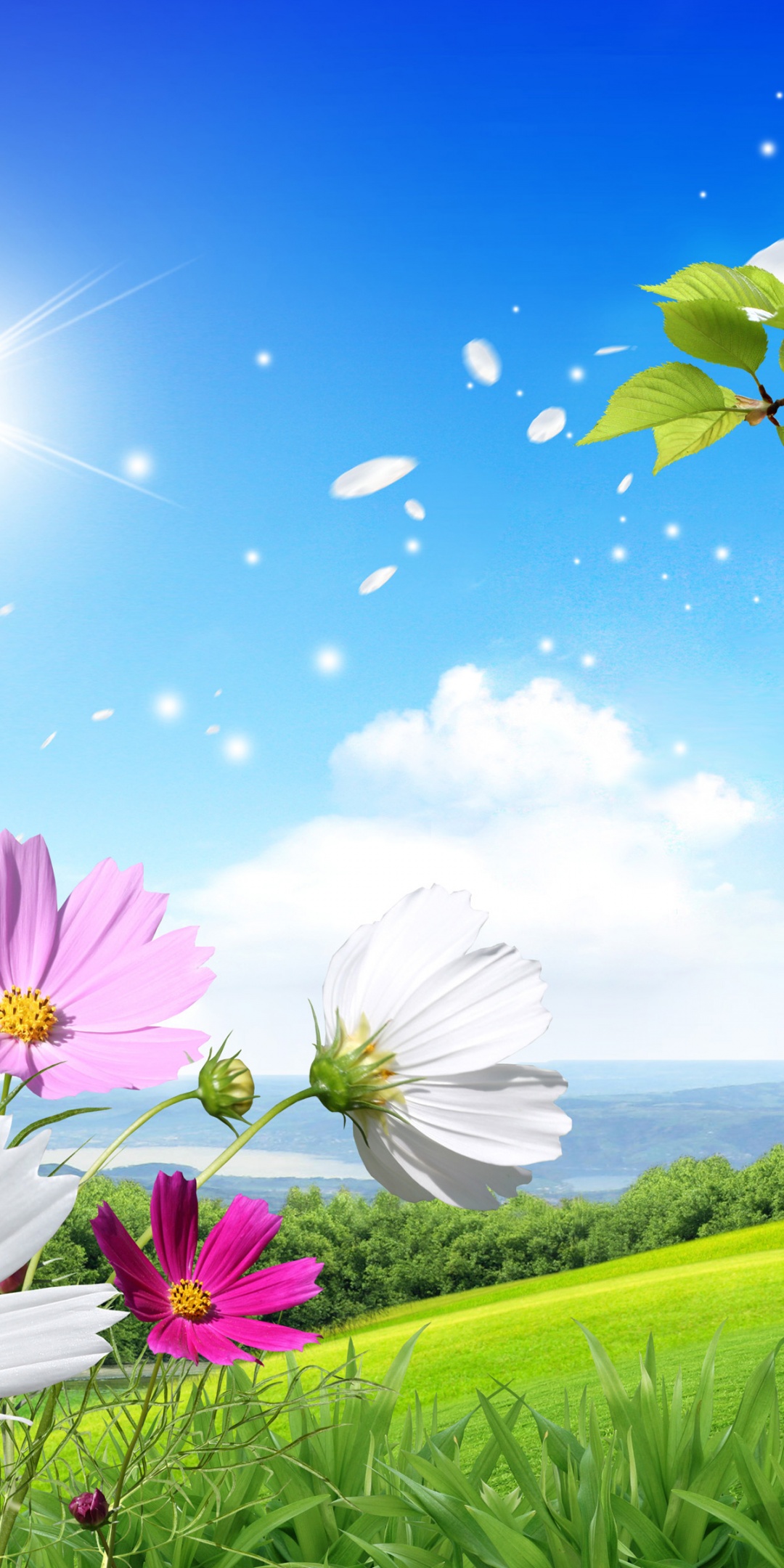 Spring Scene Background