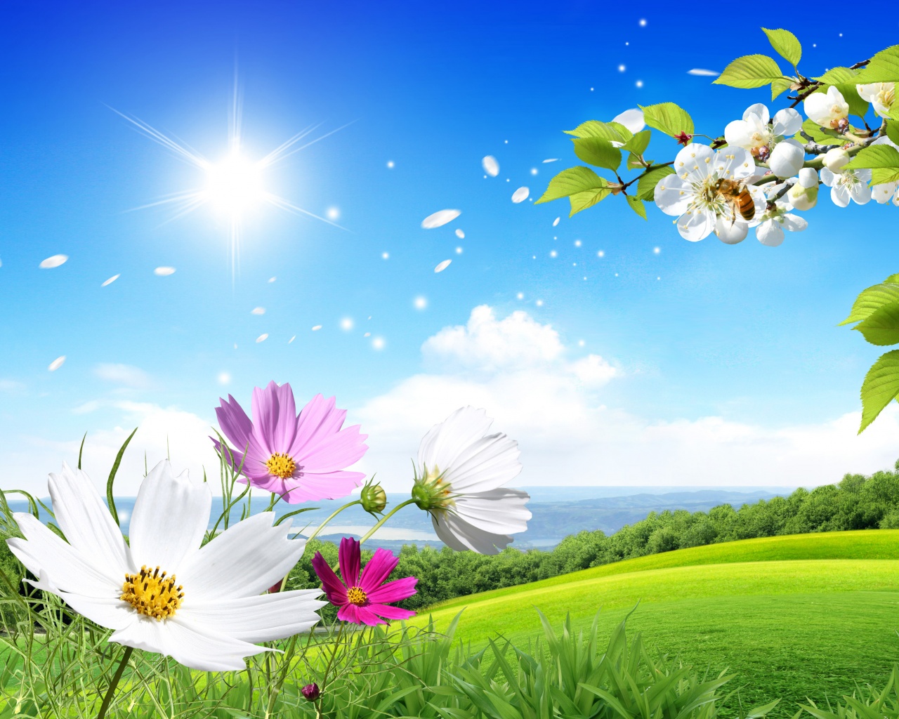 Spring Scene Background