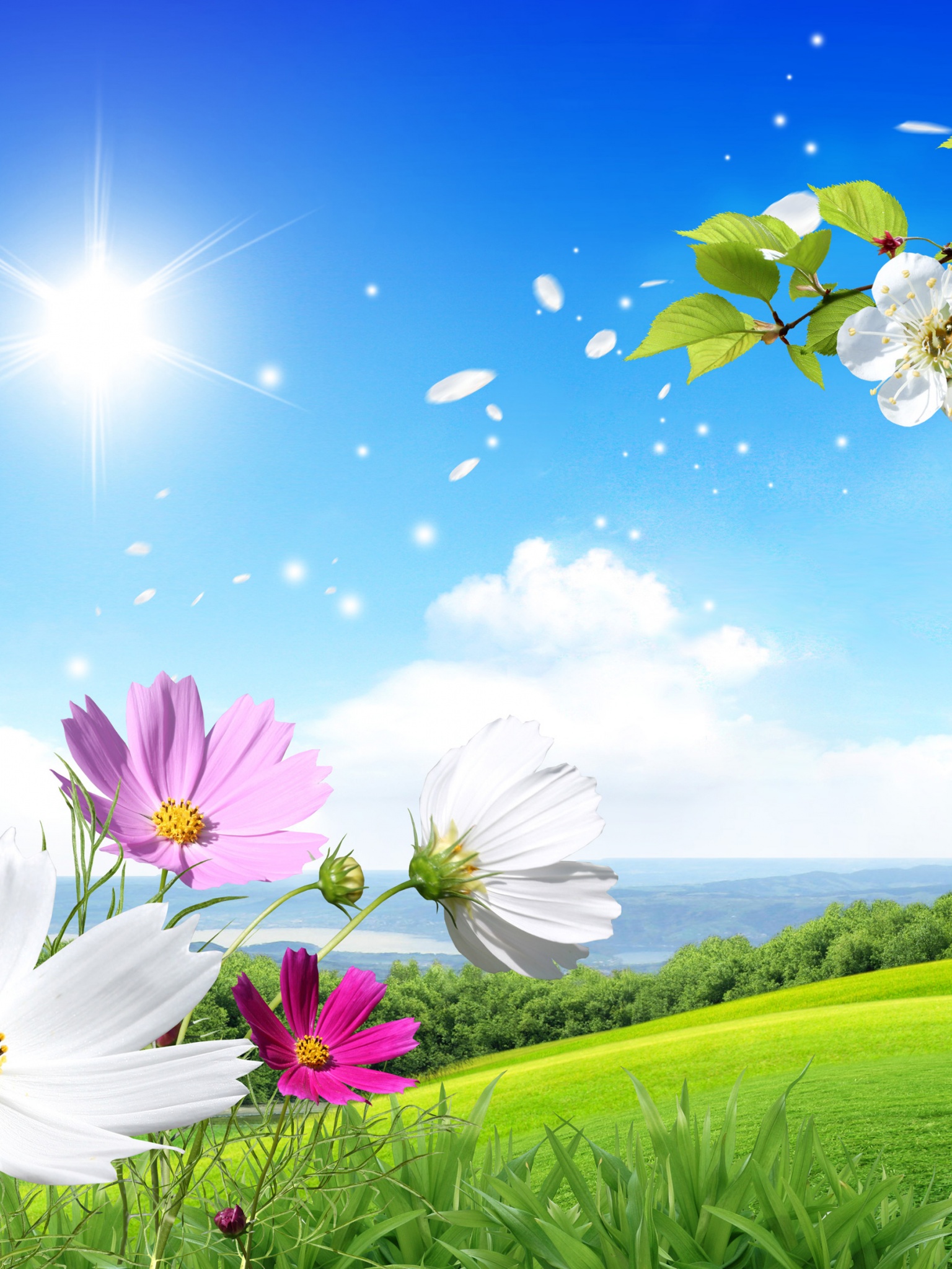 Spring Scene Background