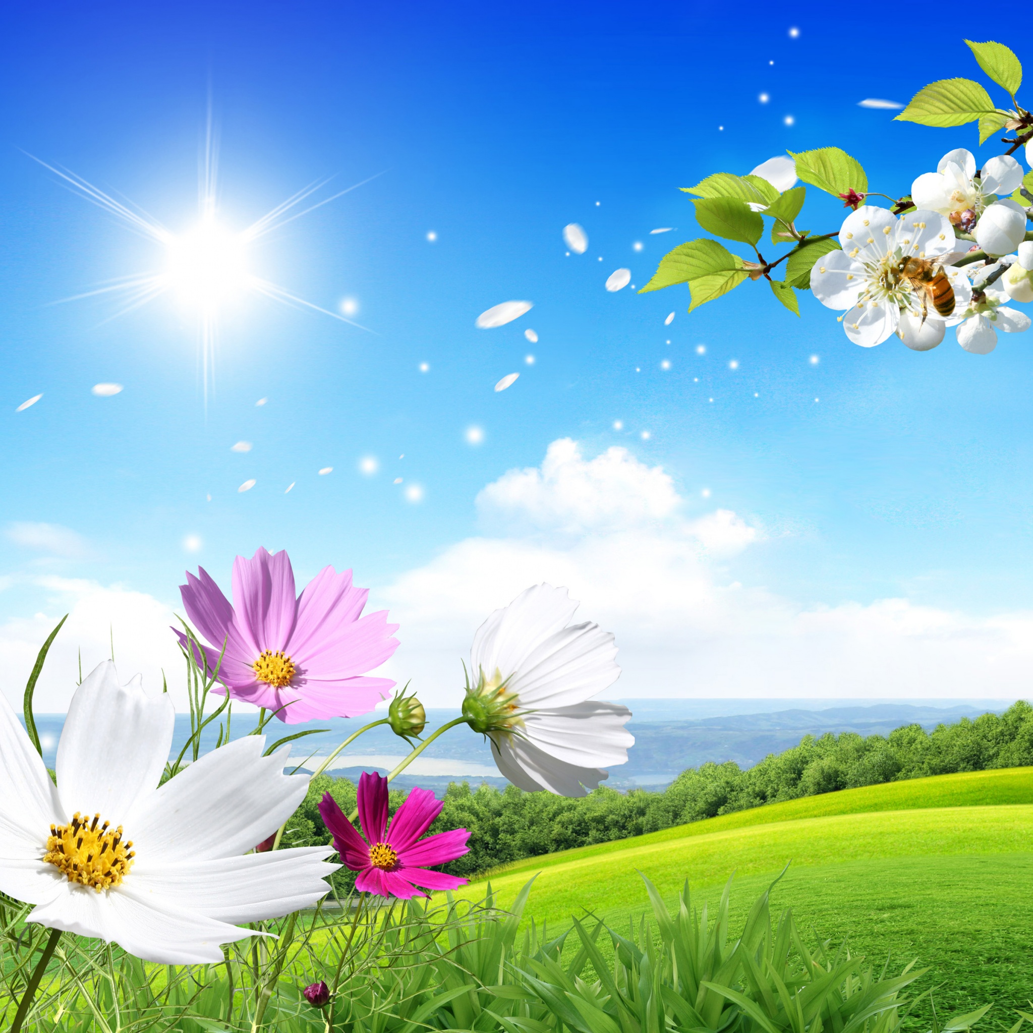 Spring Scene Background