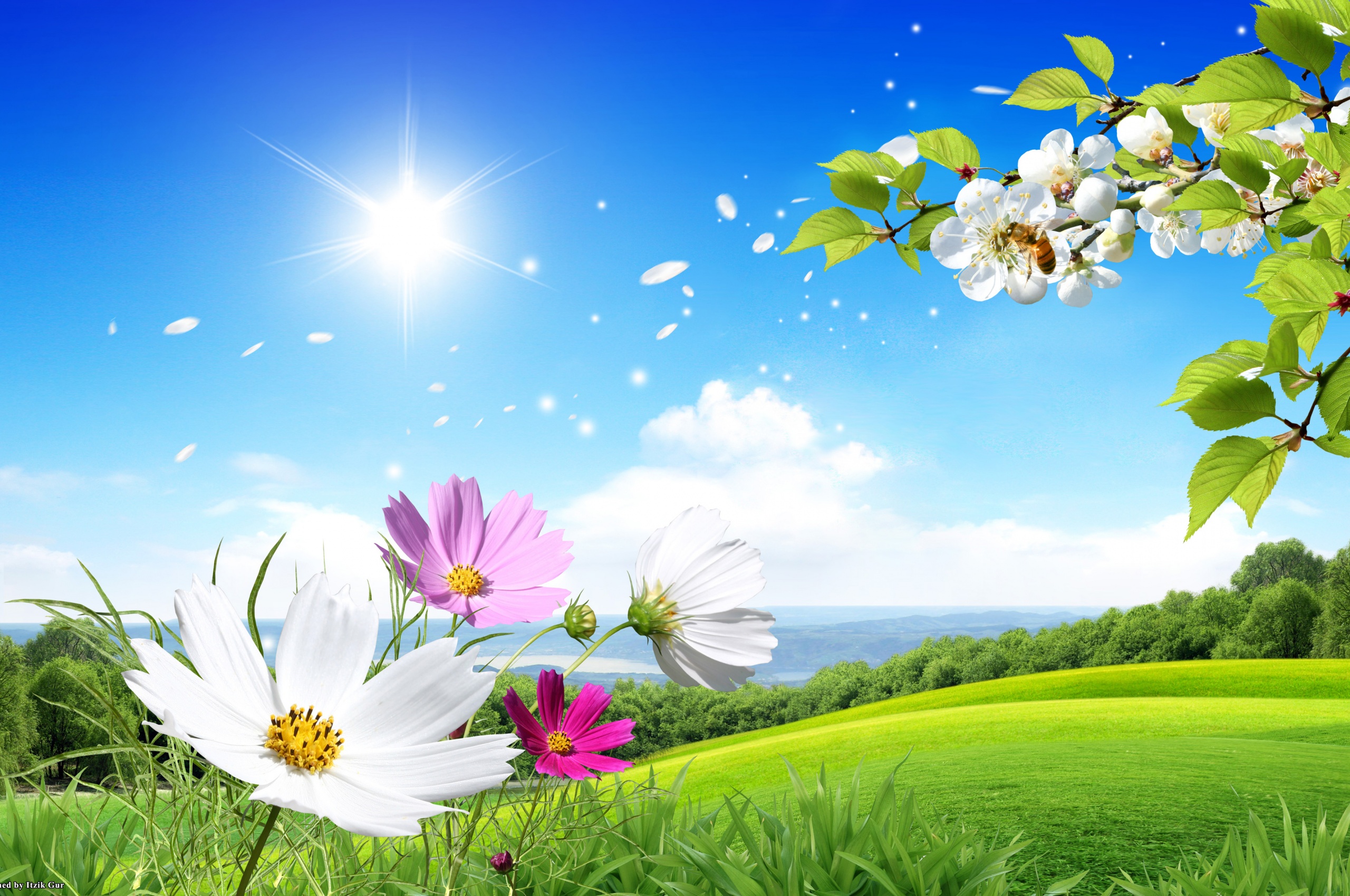 Spring Scene Background