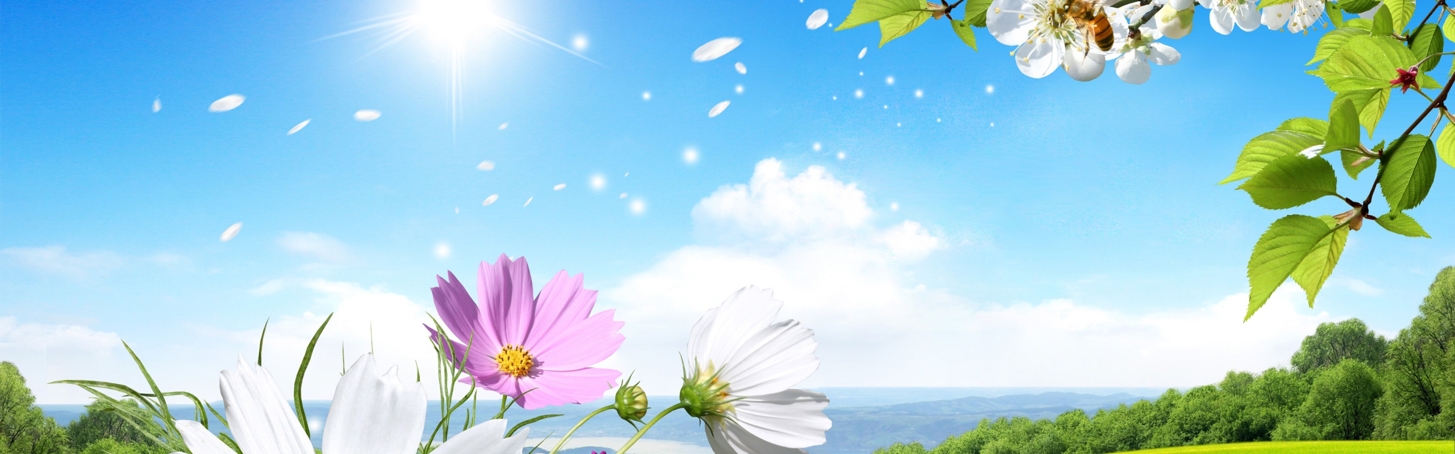 Spring Scene Background