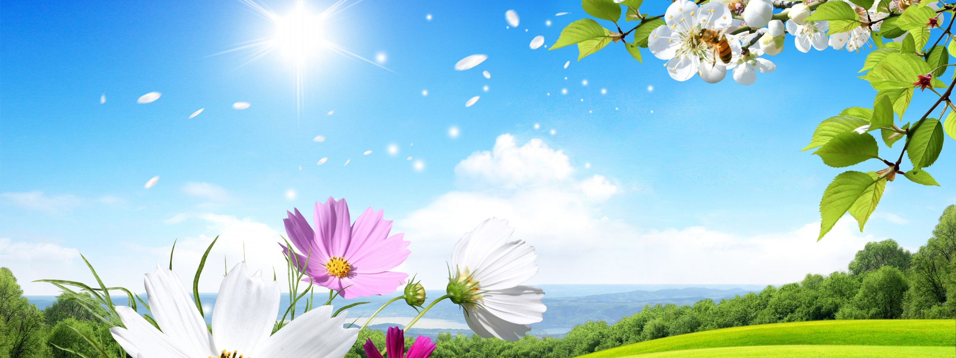 Spring Scene Background