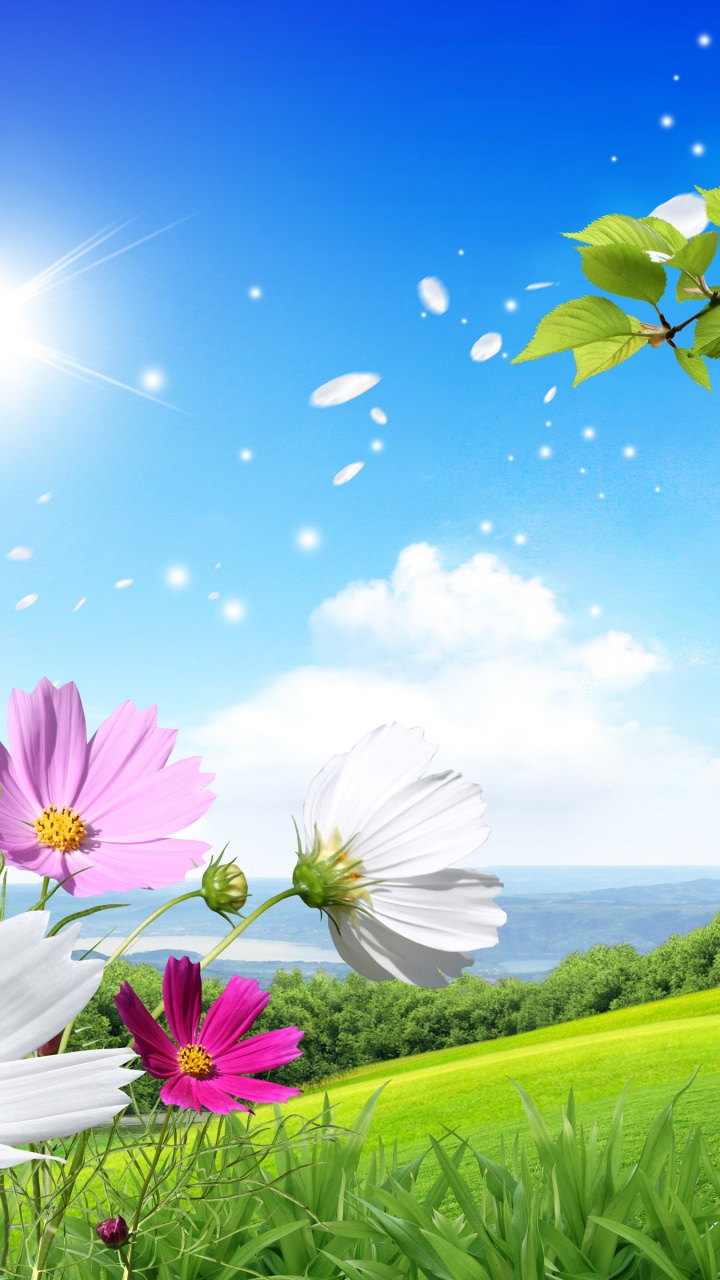 Spring Scene Background