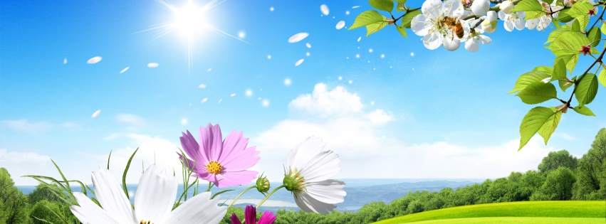 Spring Scene Background