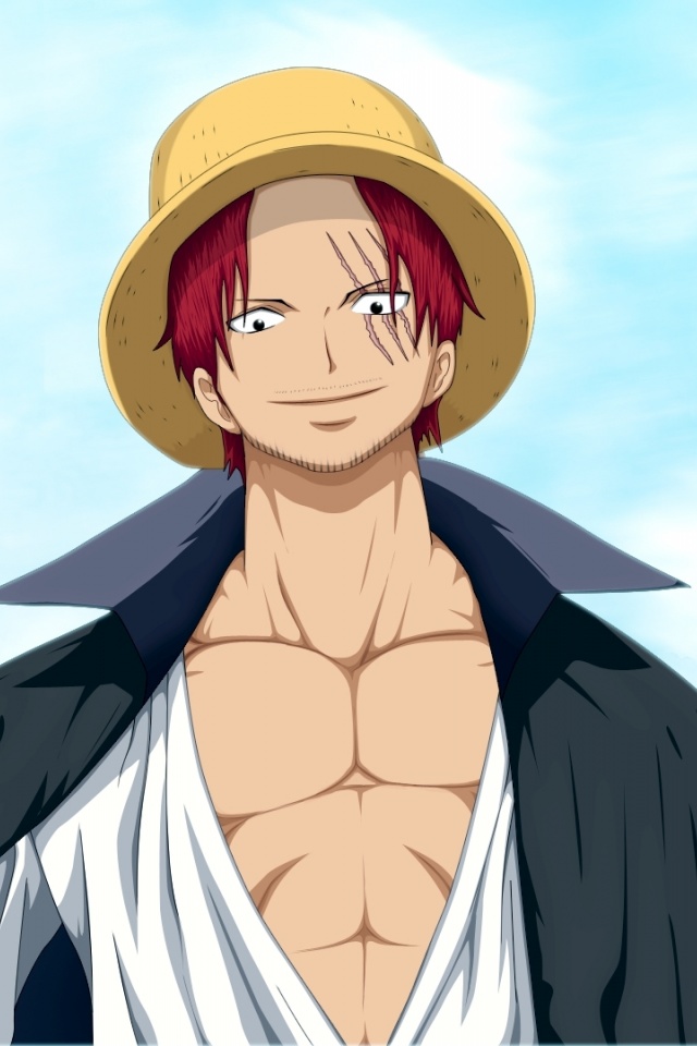 Straw Hat Pirates The One Piece Anime Pirate