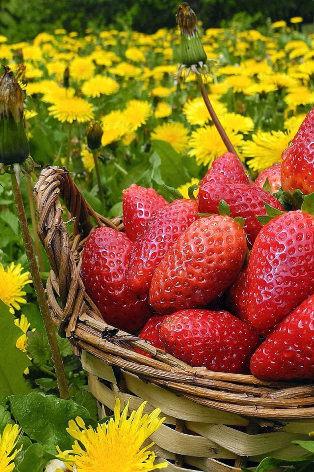 Strawberries In Basket And Dandelions