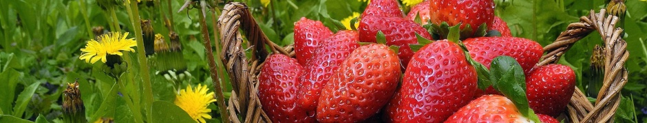 Strawberries In Basket And Dandelions