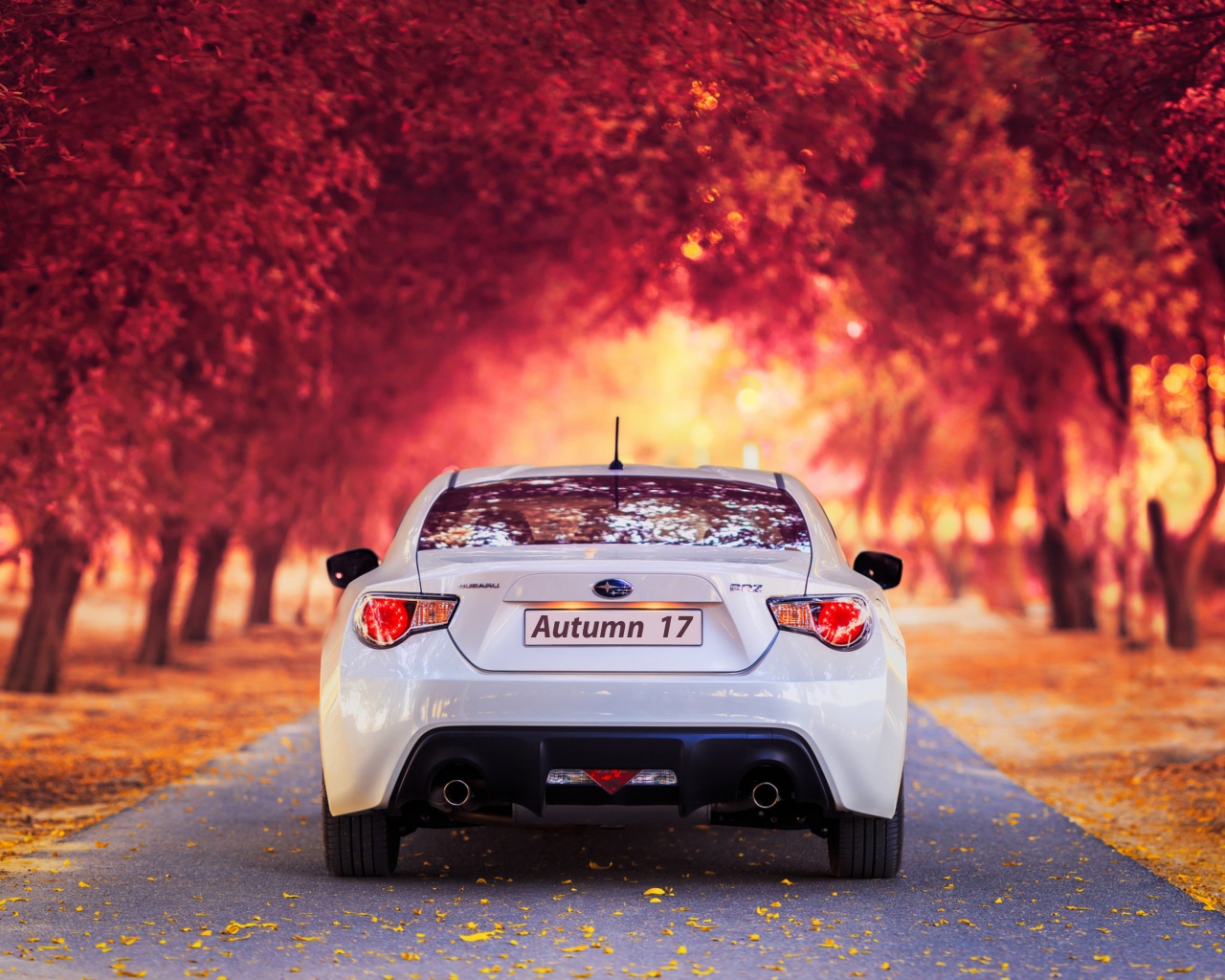 Subaru Car In Autumn