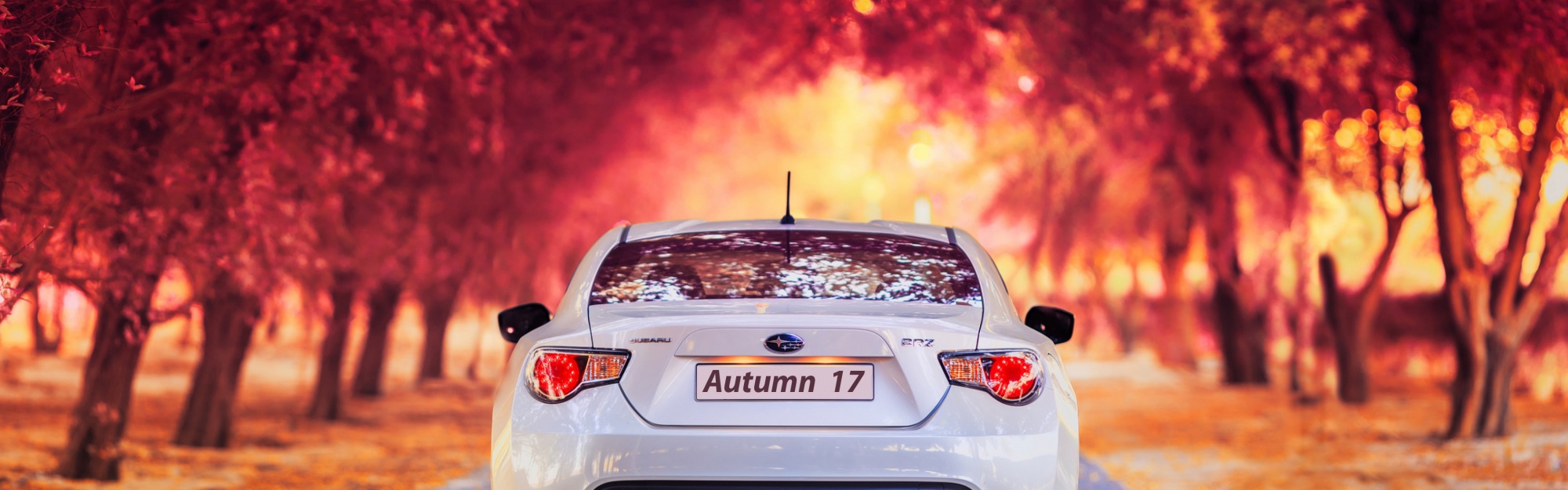 Subaru Car In Autumn