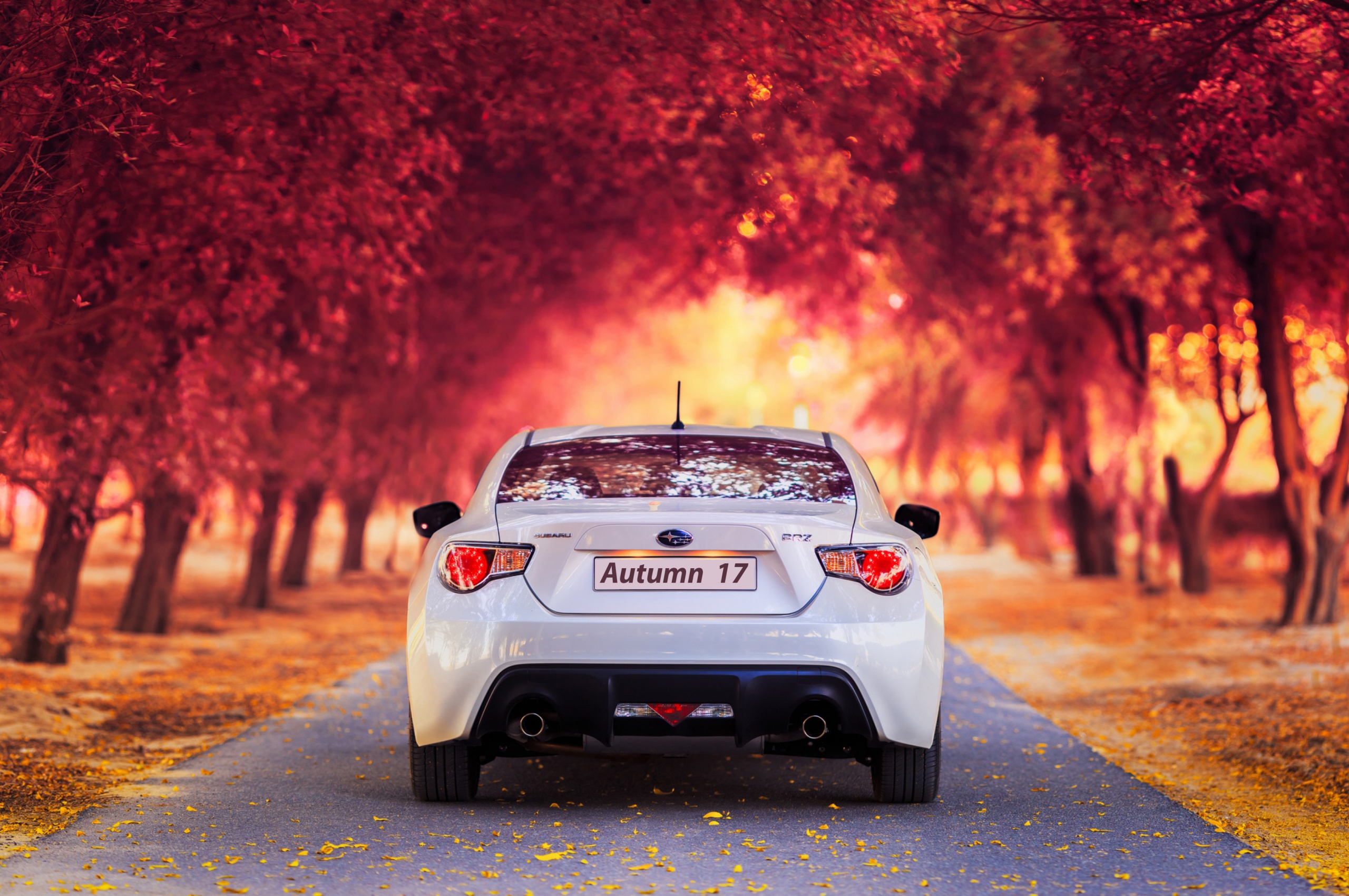 Subaru Car In Autumn