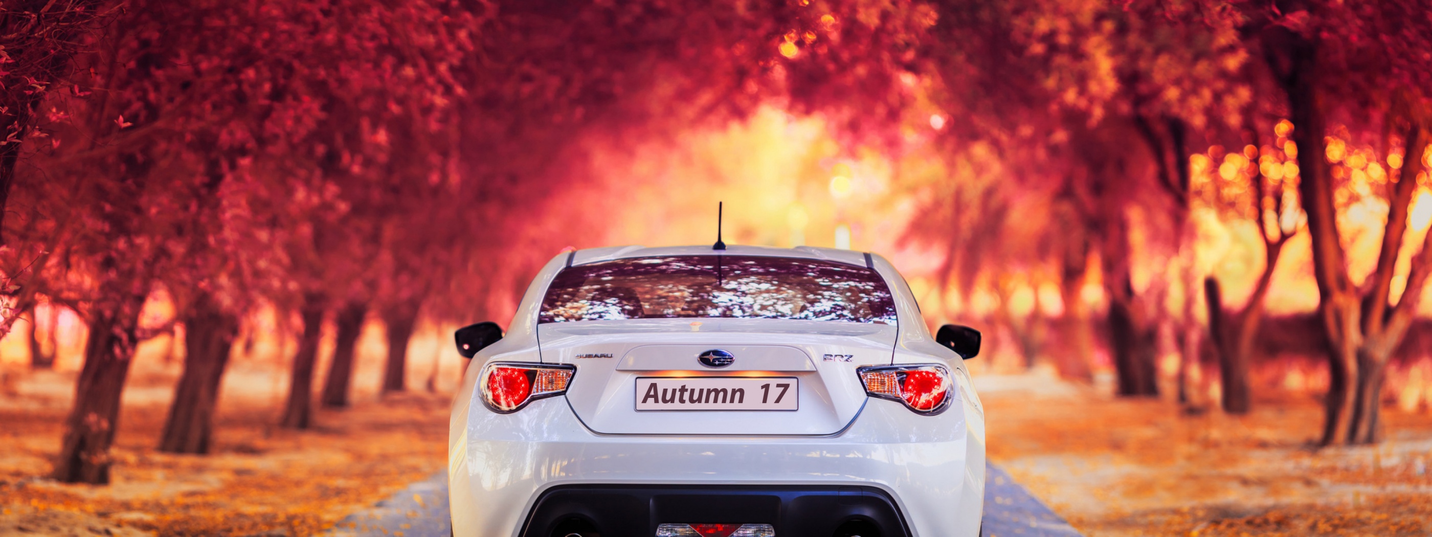 Subaru Car In Autumn