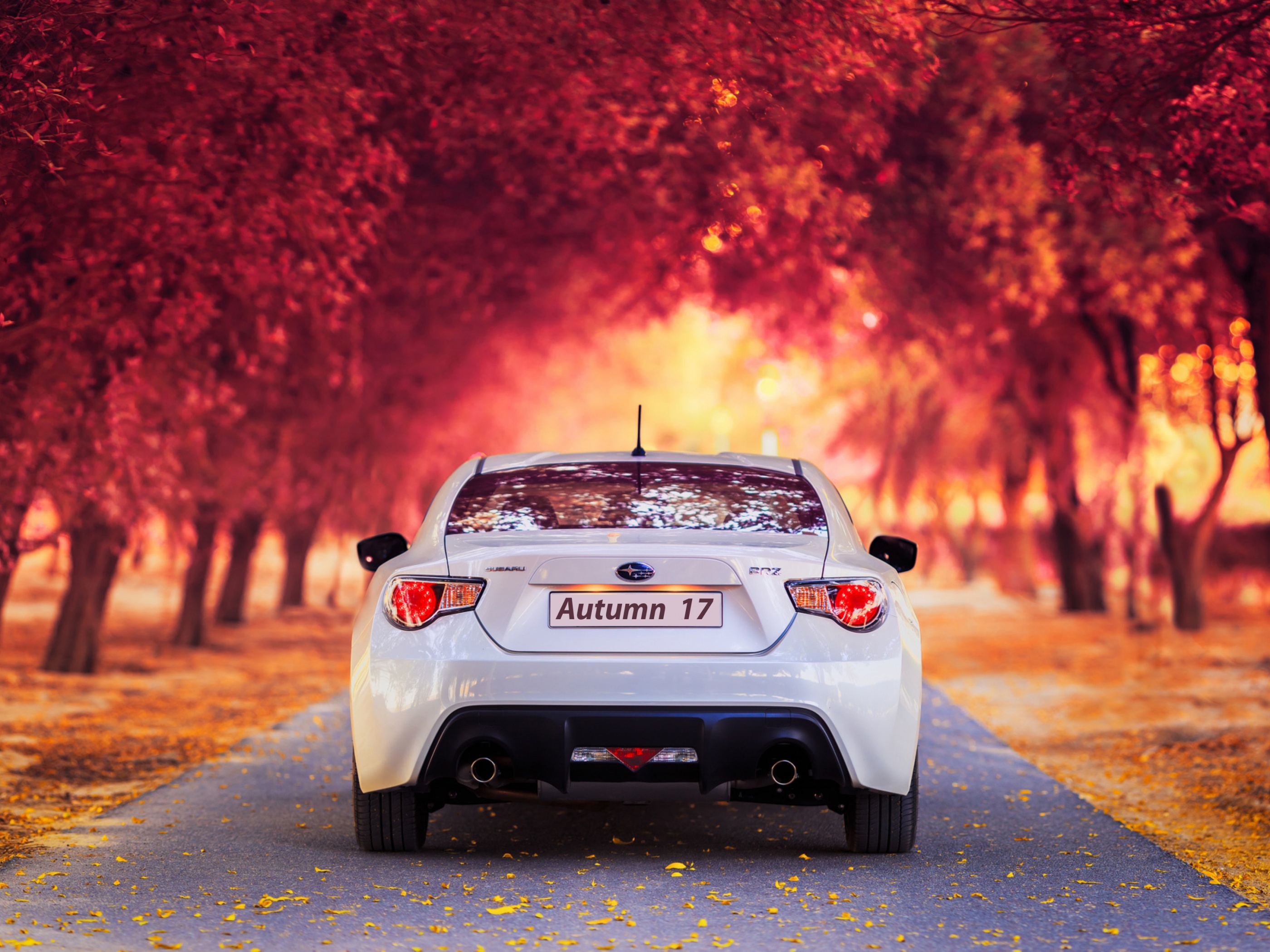 Subaru Car In Autumn