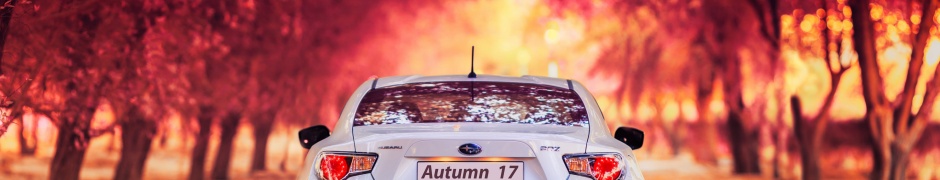 Subaru Car In Autumn