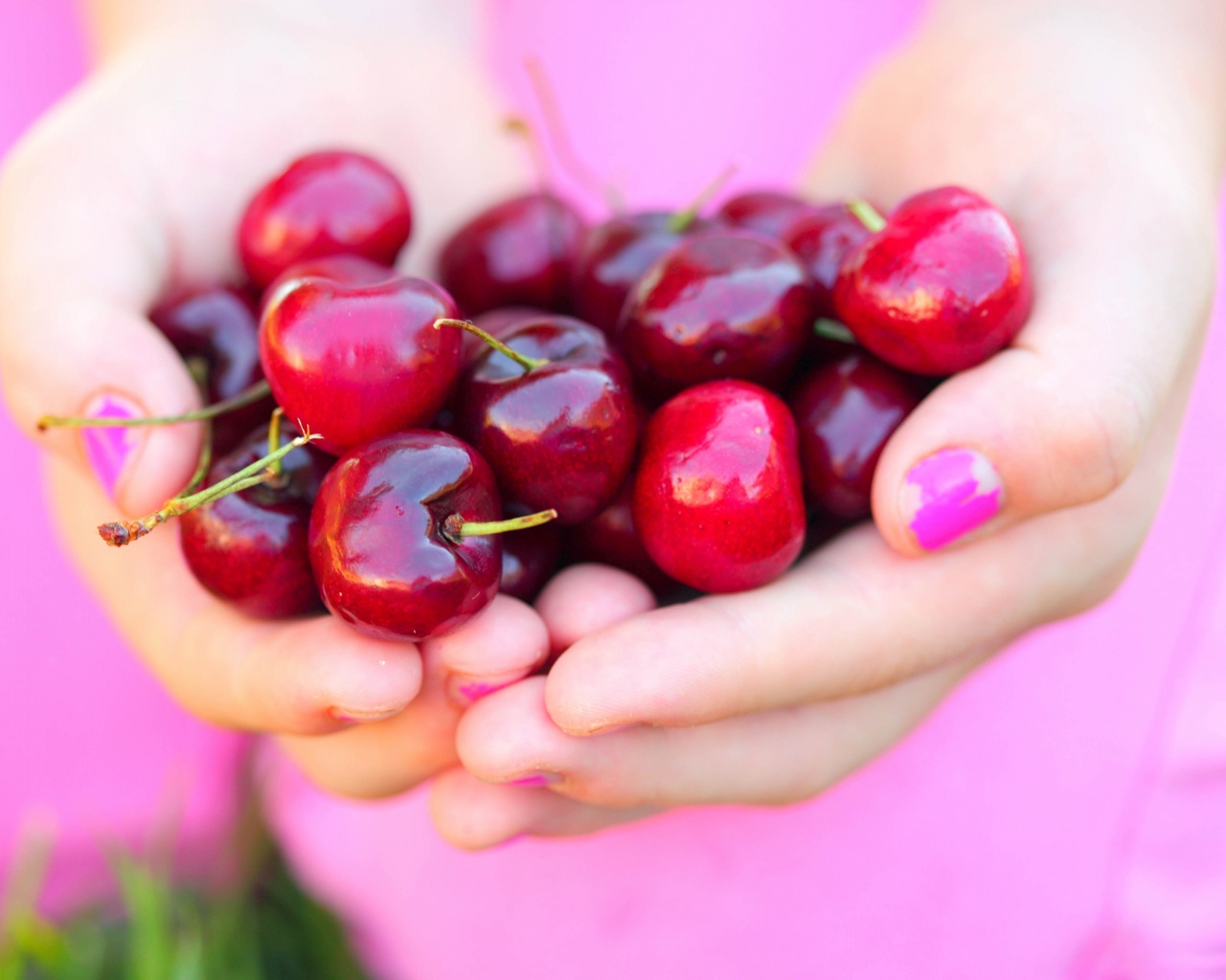 Summer Cherries