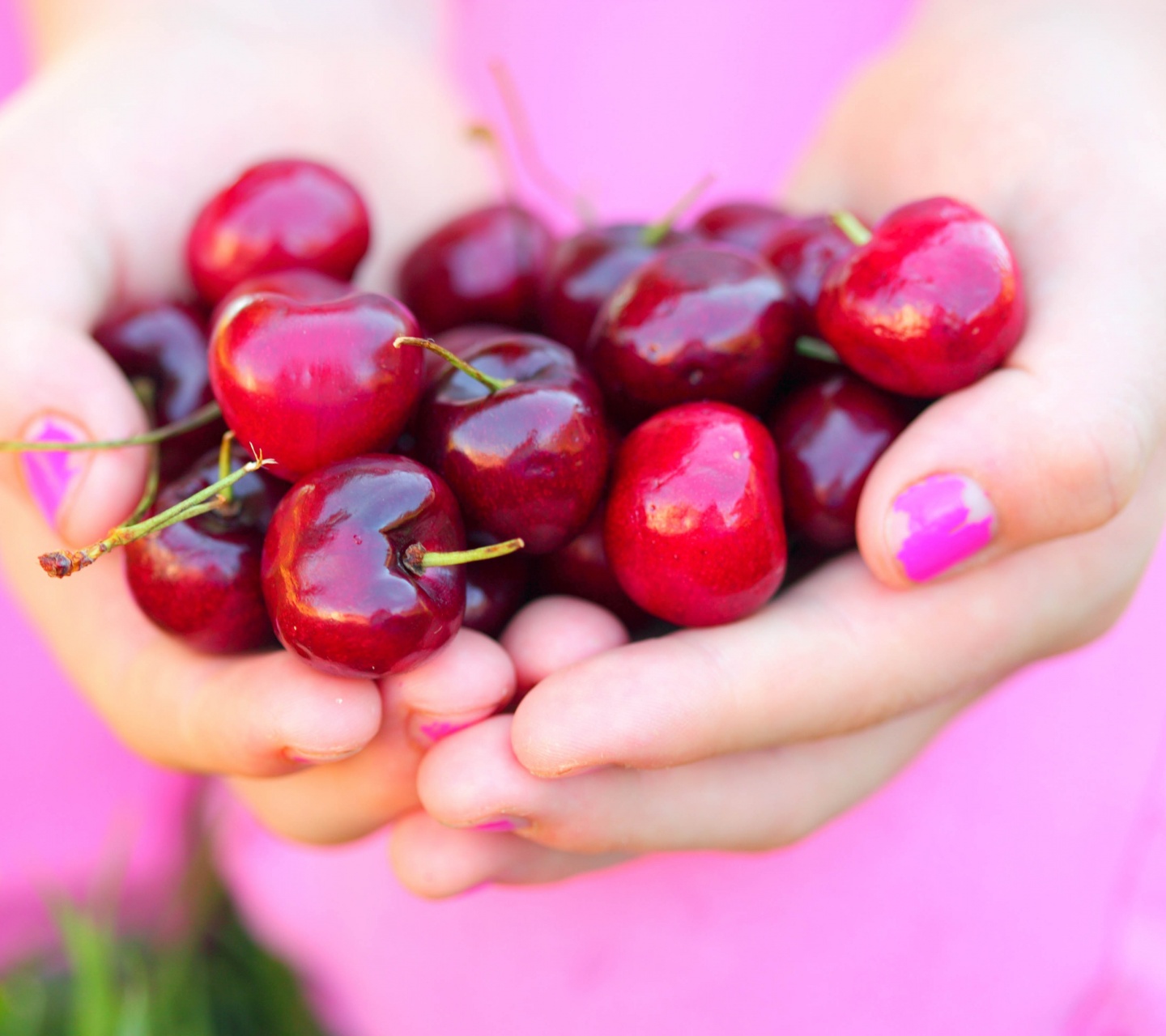 Summer Cherries