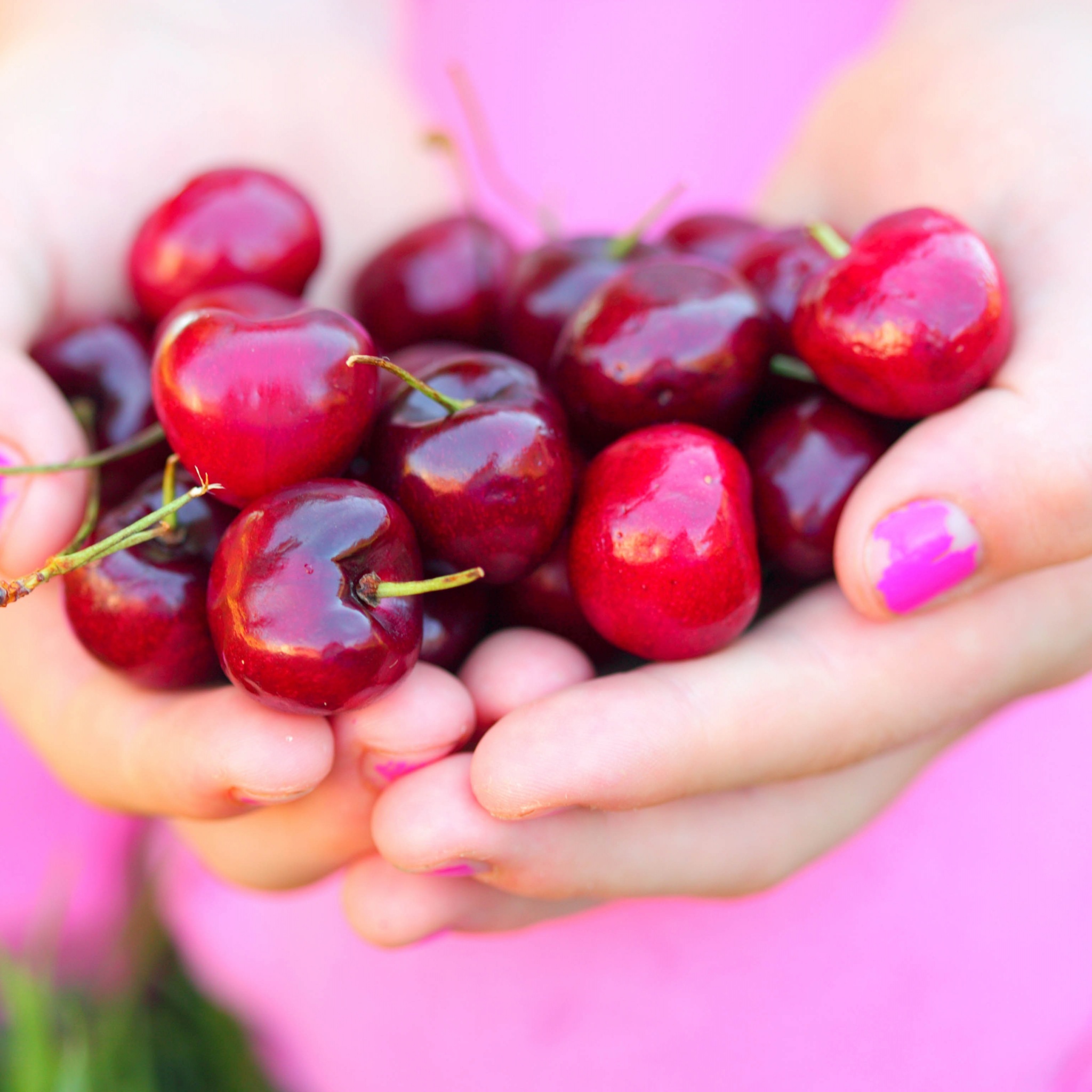 Summer Cherries