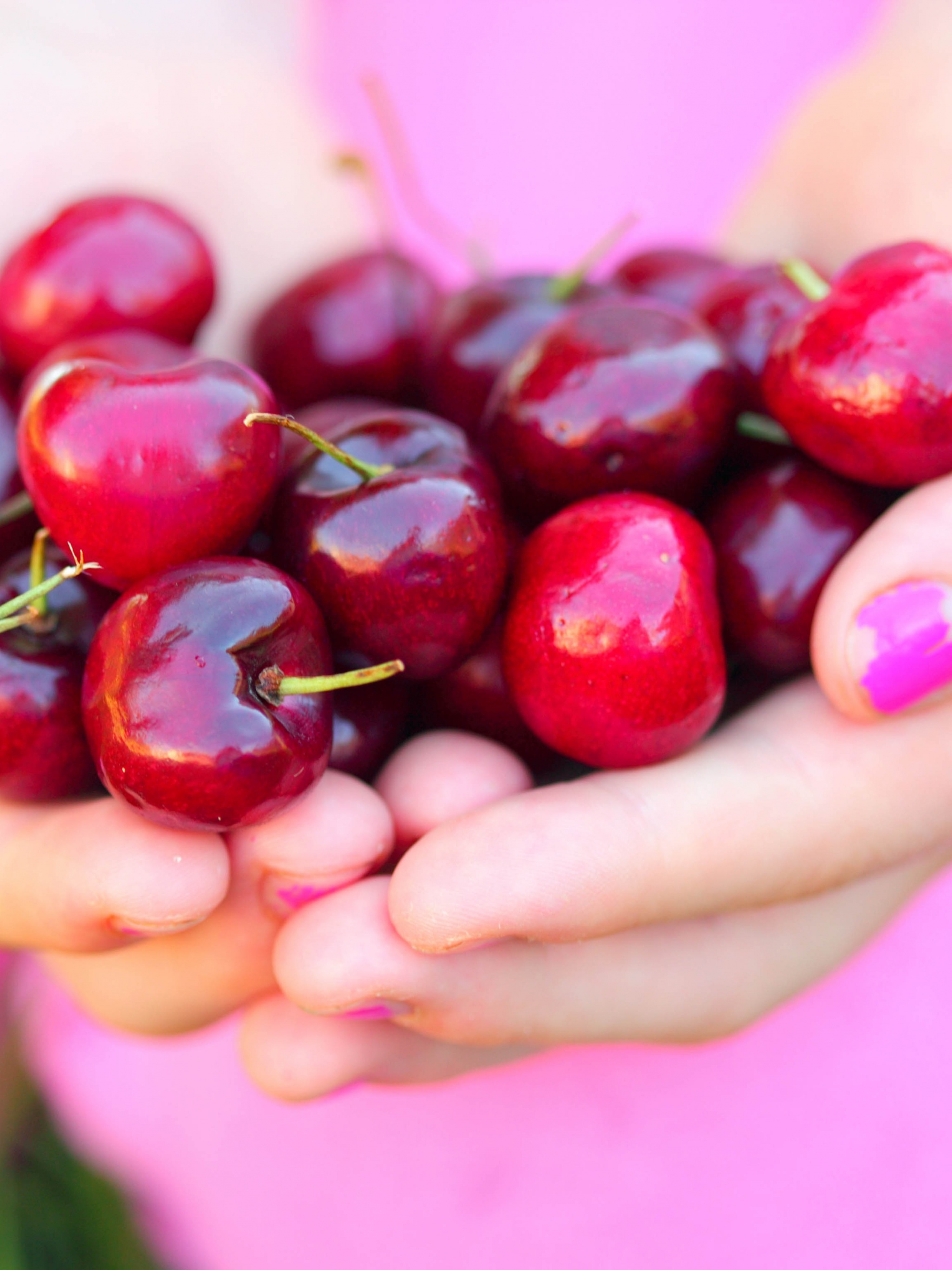 Summer Cherries