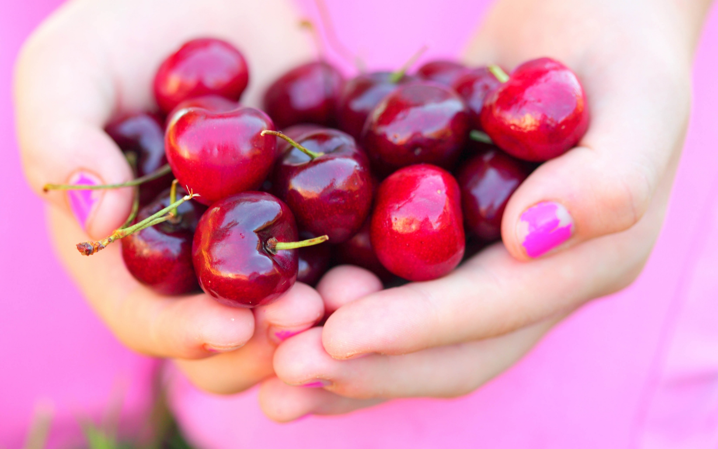 Summer Cherries