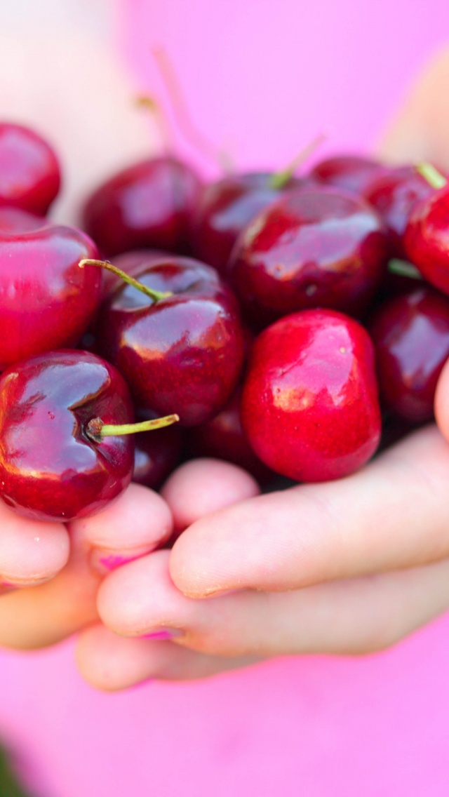 Summer Cherries