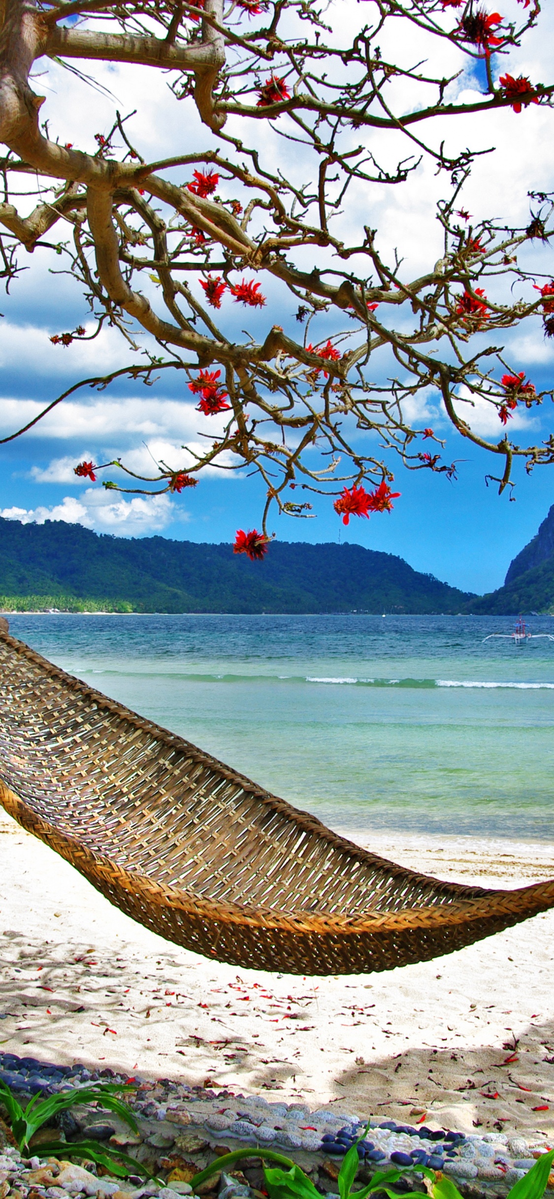 Summer Relaxation At The Beach