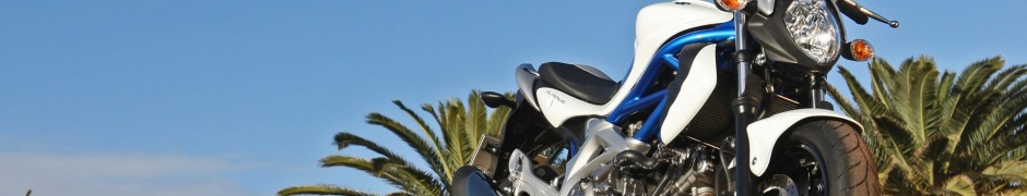 Suzuki Sfv650 Gladius