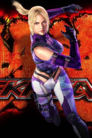 Tekken 6 Nina Fighting Game