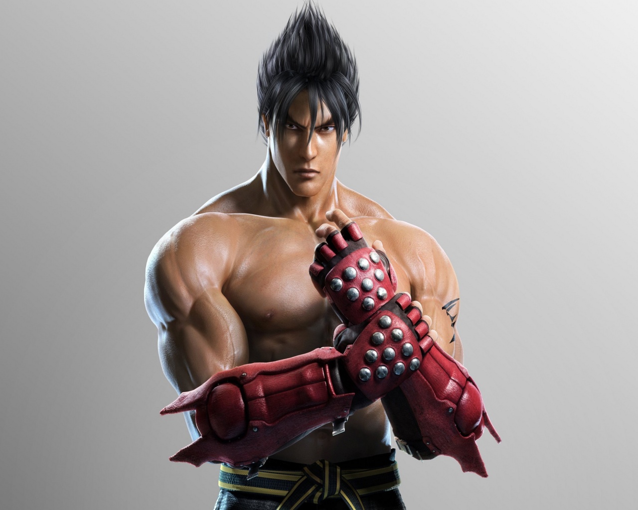 Tekken Tag Tournament 2 Roles Jin Kazama