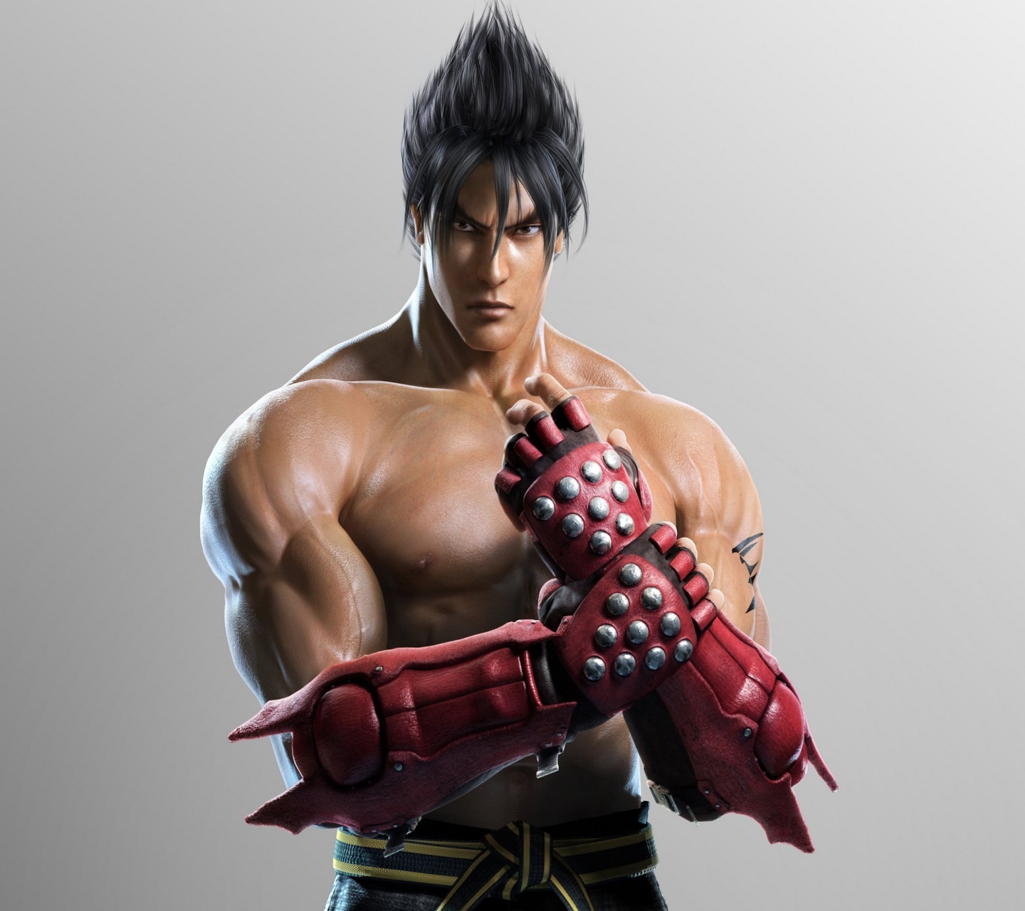 Tekken Tag Tournament 2 Roles Jin Kazama