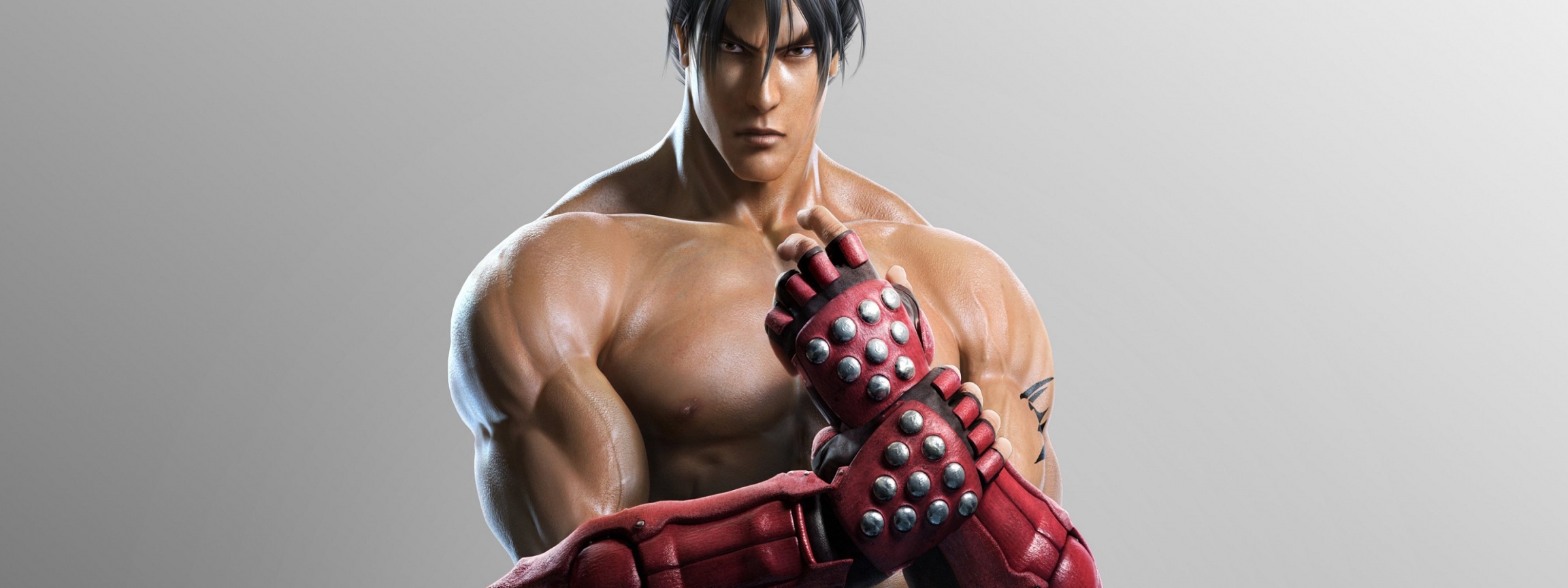 Tekken Tag Tournament 2 Roles Jin Kazama