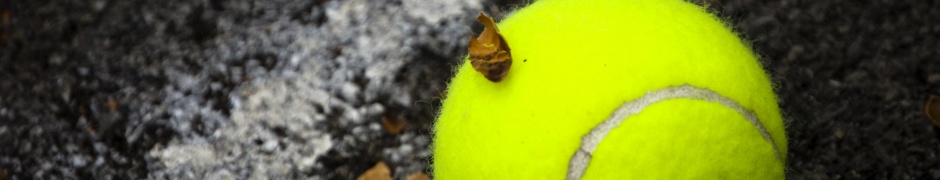 Tennis Ball