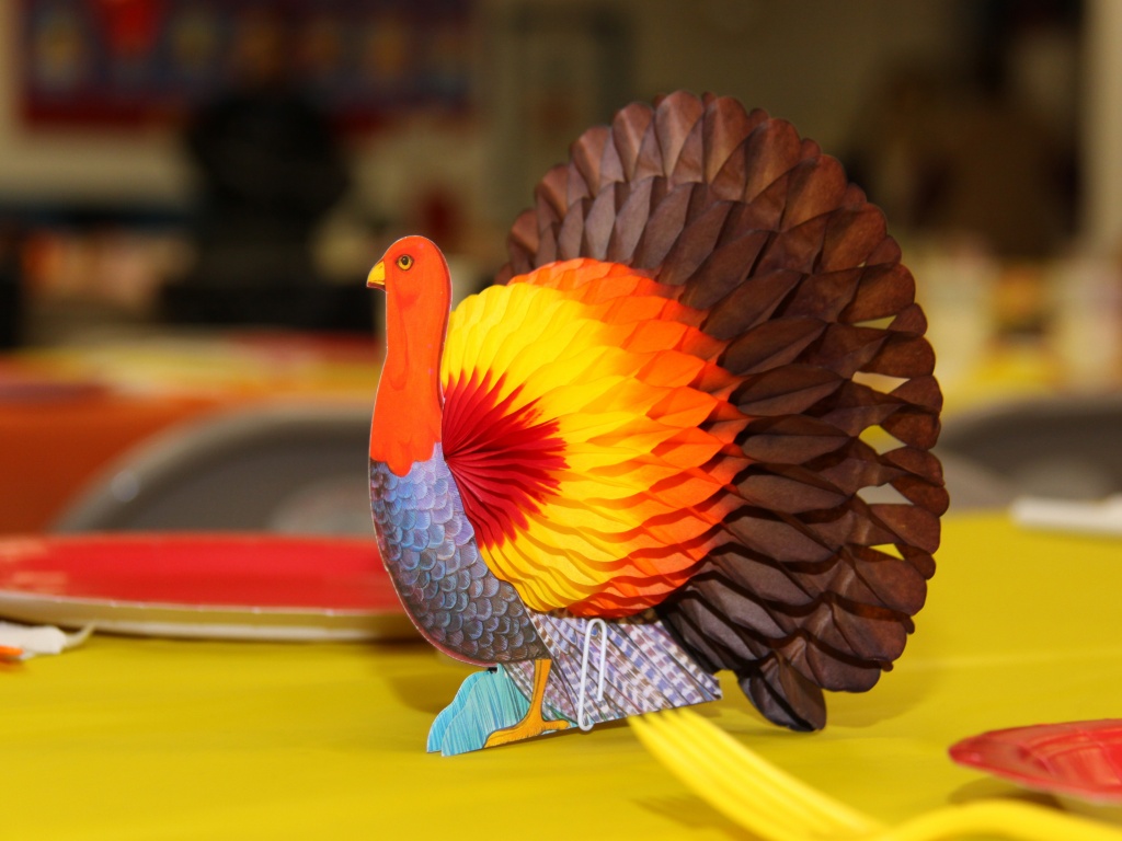 Thanksgiving Turkey Decorations