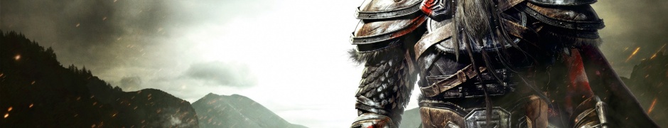 The Elder Scrolls V Skyrim - Warriors