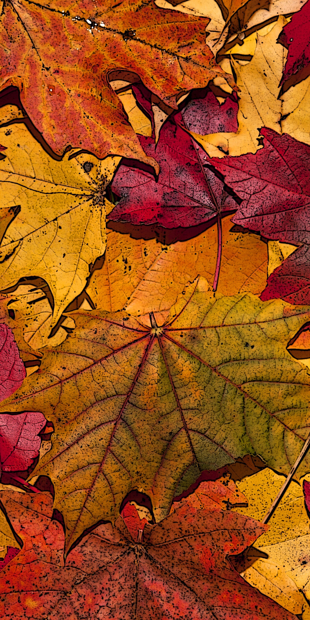 The Fallen Leaves In Autumn Colors