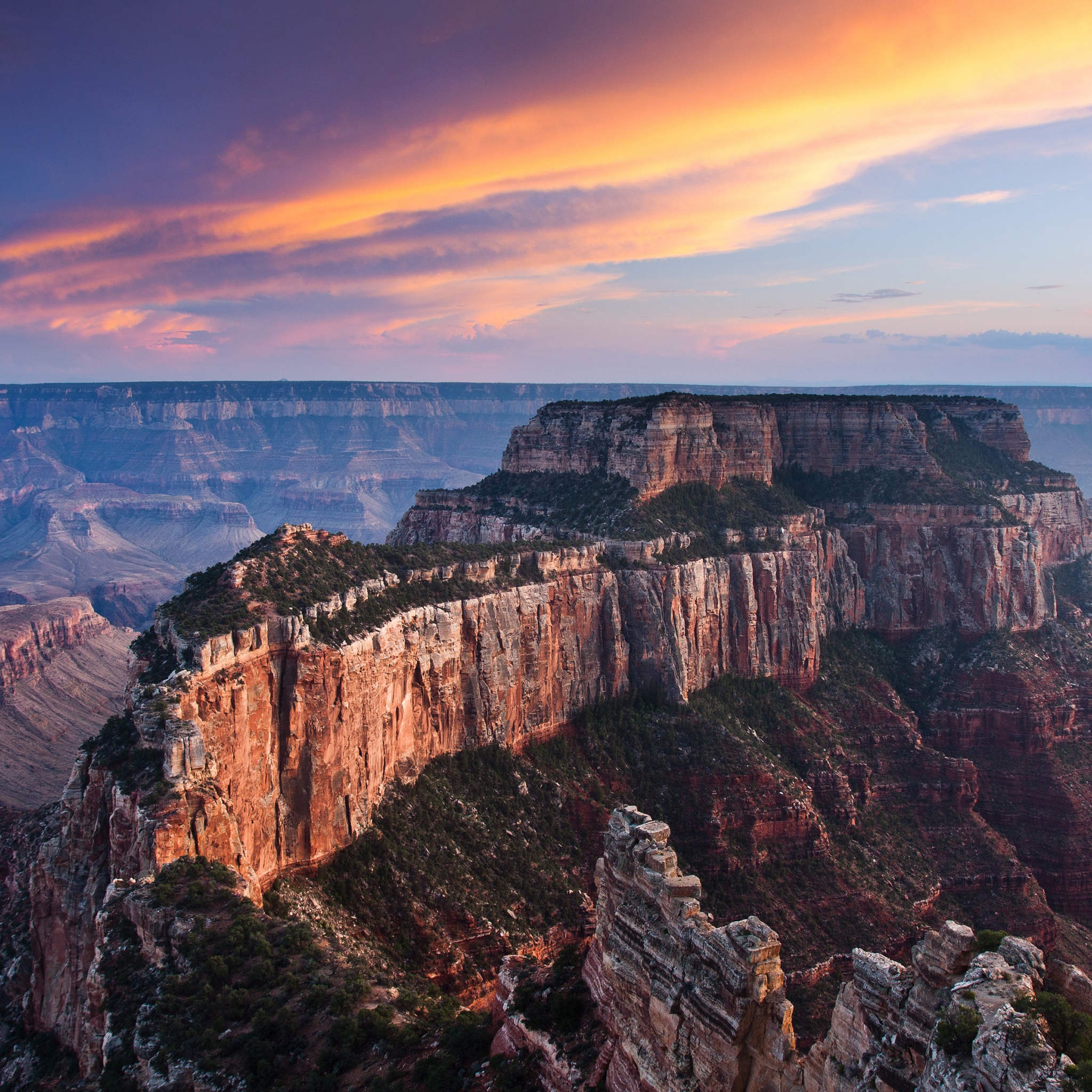 The Grand Canyon