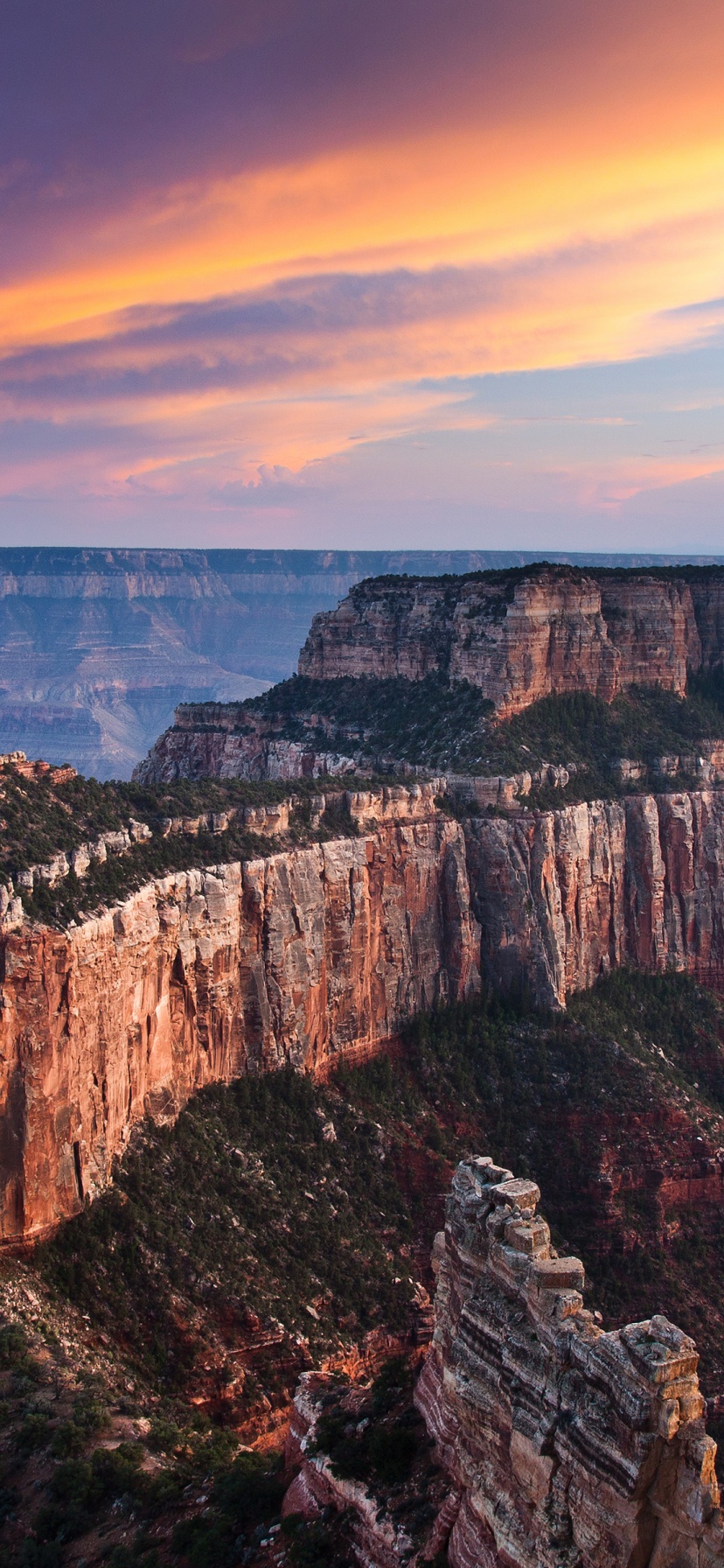 The Grand Canyon