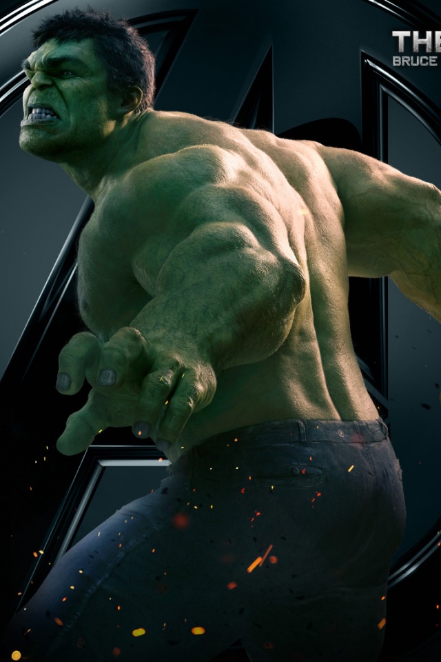 The Hulk Bruce Banner