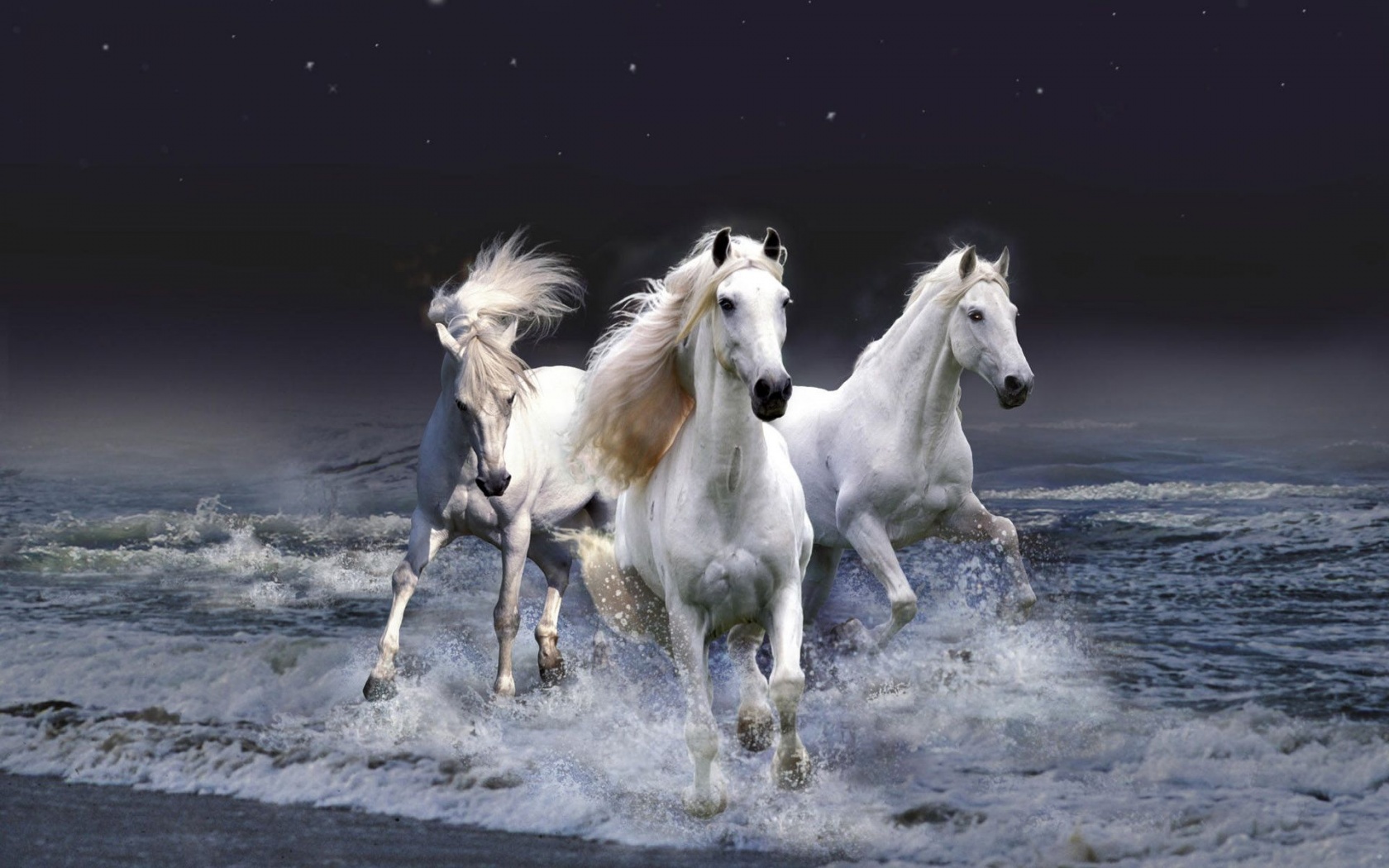 Three White Horses