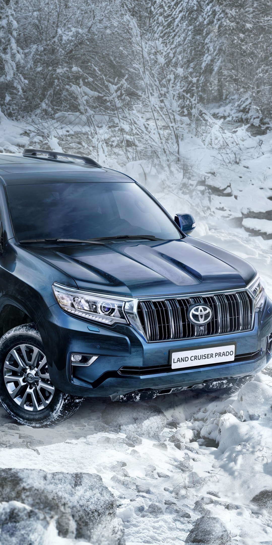 Toyota Land Cruiser Prado Snow