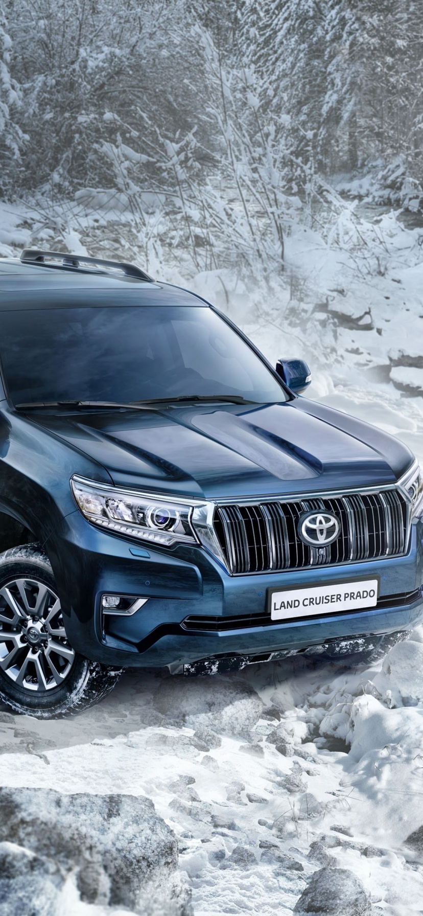 Toyota Land Cruiser Prado Snow