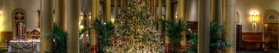 Tree Large Christmas Hall Columns Holiday Gifts