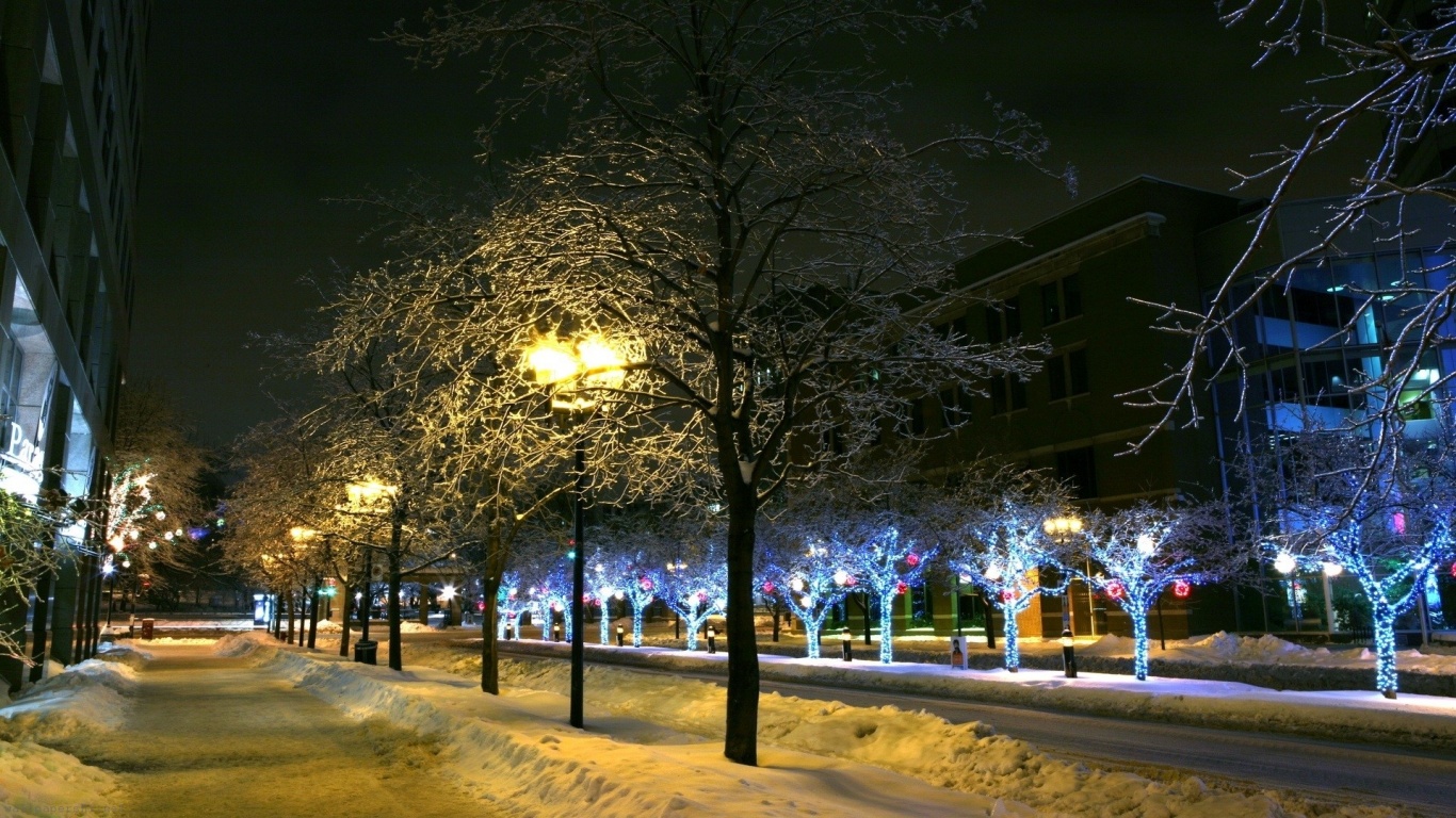 Trees Park Winter Ornament Decor Street Night City Landscape