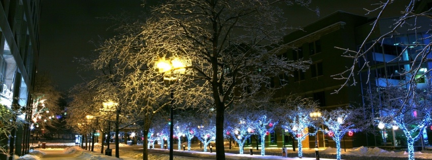 Trees Park Winter Ornament Decor Street Night City Landscape