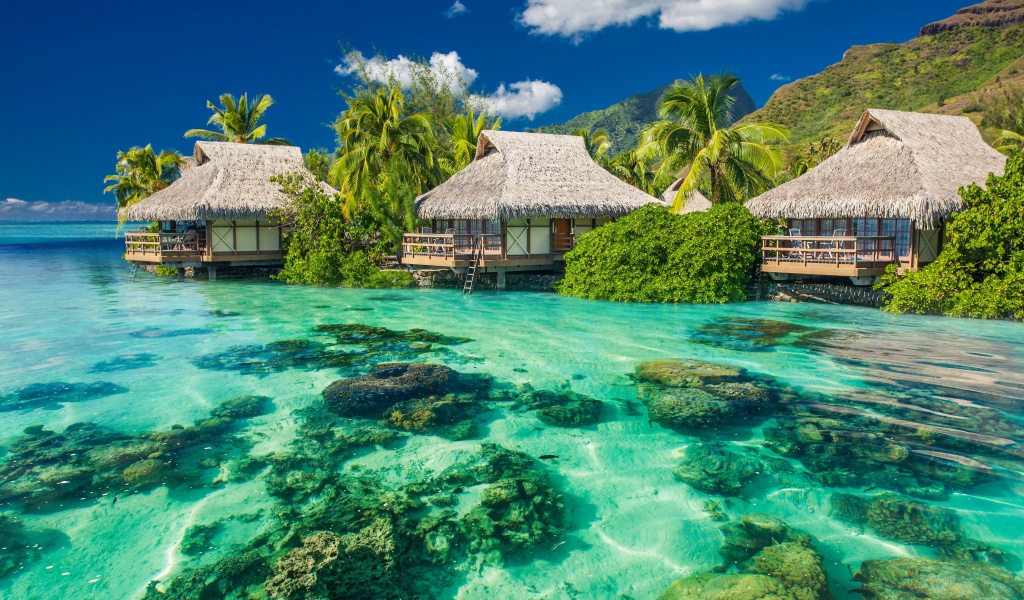 Tropical Seaside Cottages